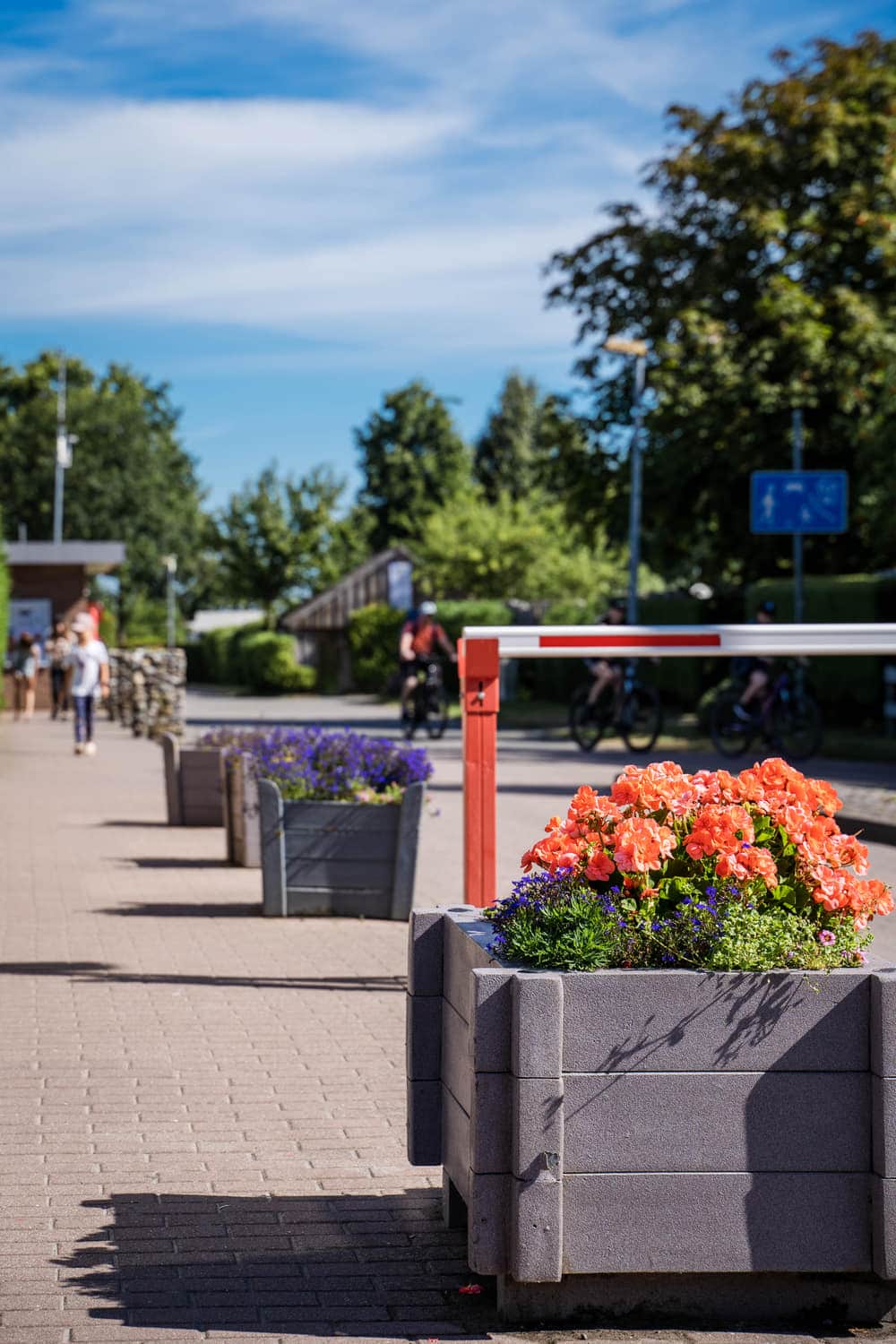 Blumenkübel entlang des Hauptwegs über den Platz