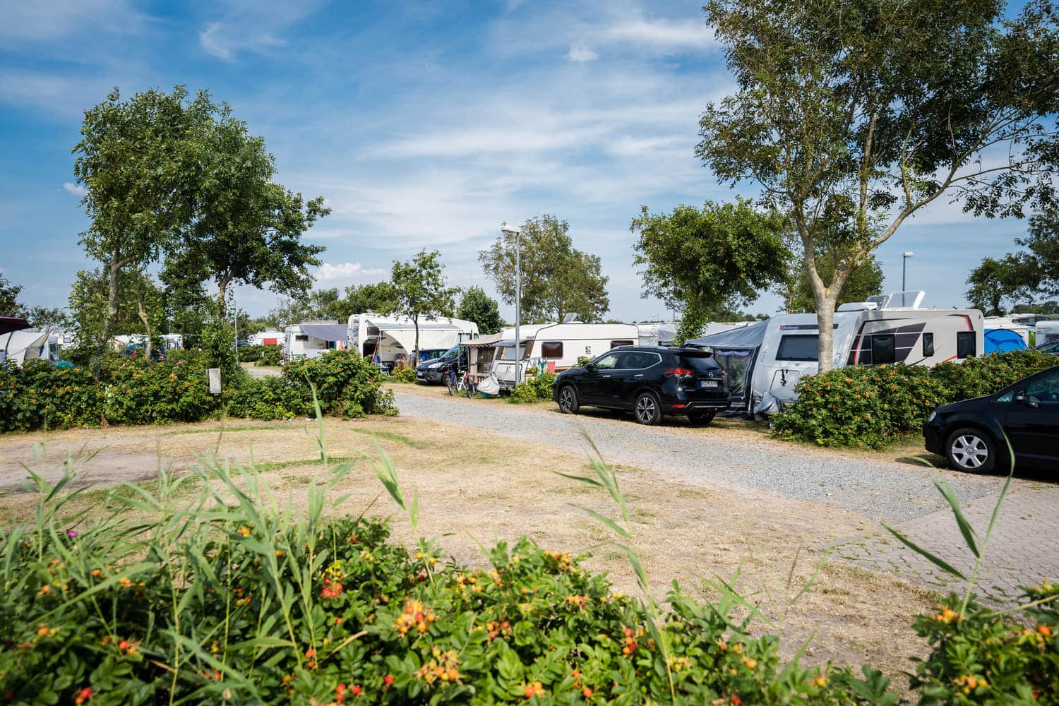 Wiesenstellplatz mit blühendem Saum