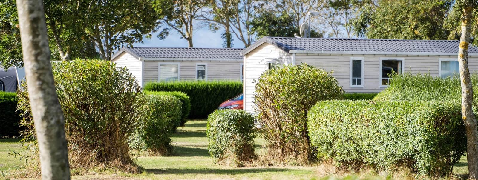 Stacaravans achter gesnoeide hagen op de camping