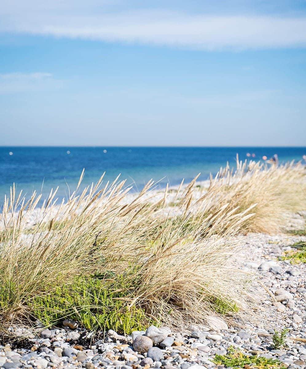 Het strand direct voor het Wellnesshaus