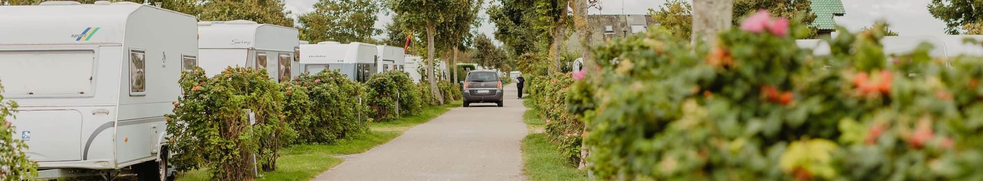 Heckenparzellierter Stellplatz im Grünen