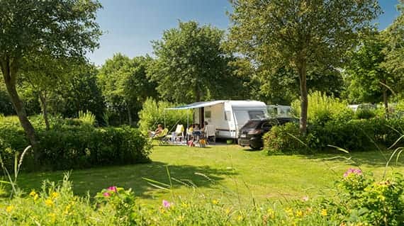 Caravan met voortent op een weide met hagen
