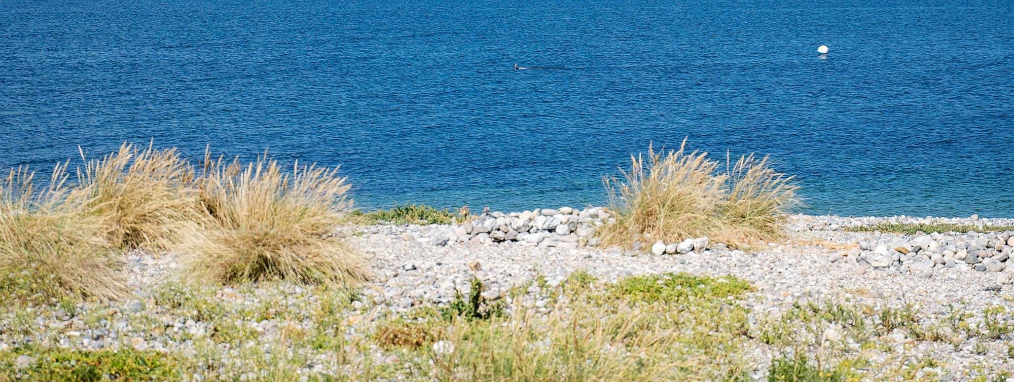 Luftaufnahme des Strandcamping Wallnau an der Westküste Fehmarns
